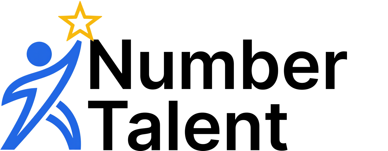 Number Talent Logo